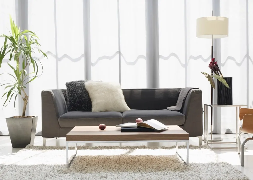 A bright living room with a gray sofa and a pale rug