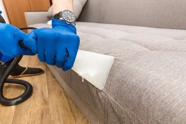 A gloved hand cleaning a beige sofa with an upholstery tool